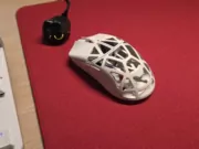 Wlmouse Beast X Mini vs Beast X Medium Pro 8K : laquelle est vraiment faite pour ta main ?